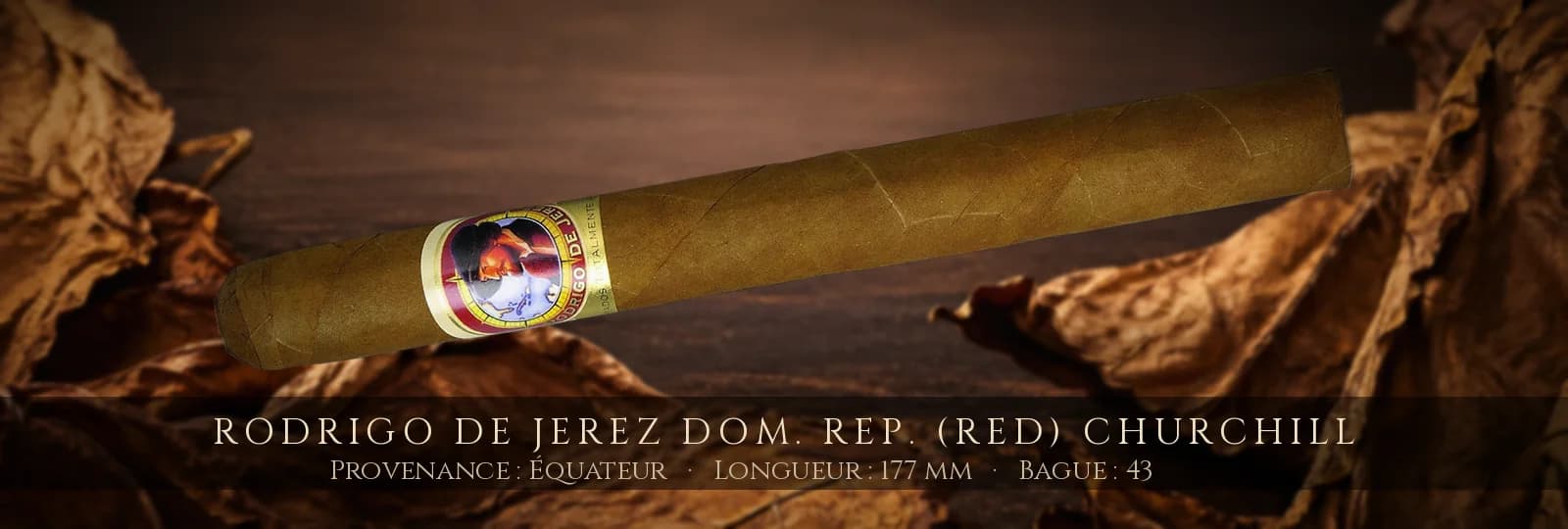 Rodrigo de Jerez Dom. Rep. (Red) Churchill — Rodrigo de Jerez — Équateur