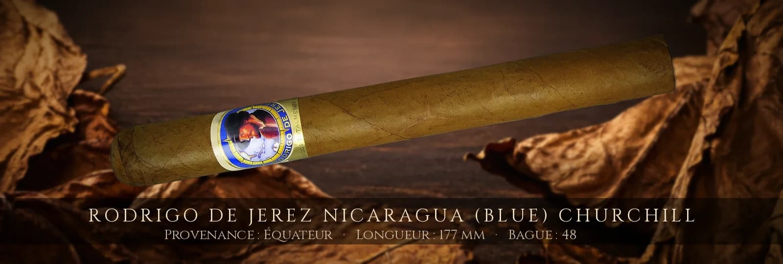 Rodrigo de Jerez Nicaragua (Blue) Churchill — Rodrigo de Jerez — Équateur