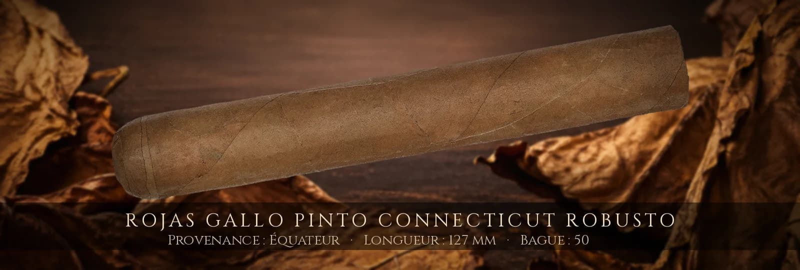 Rojas Gallo Pinto Connecticut Robusto — Rojas — Équateur