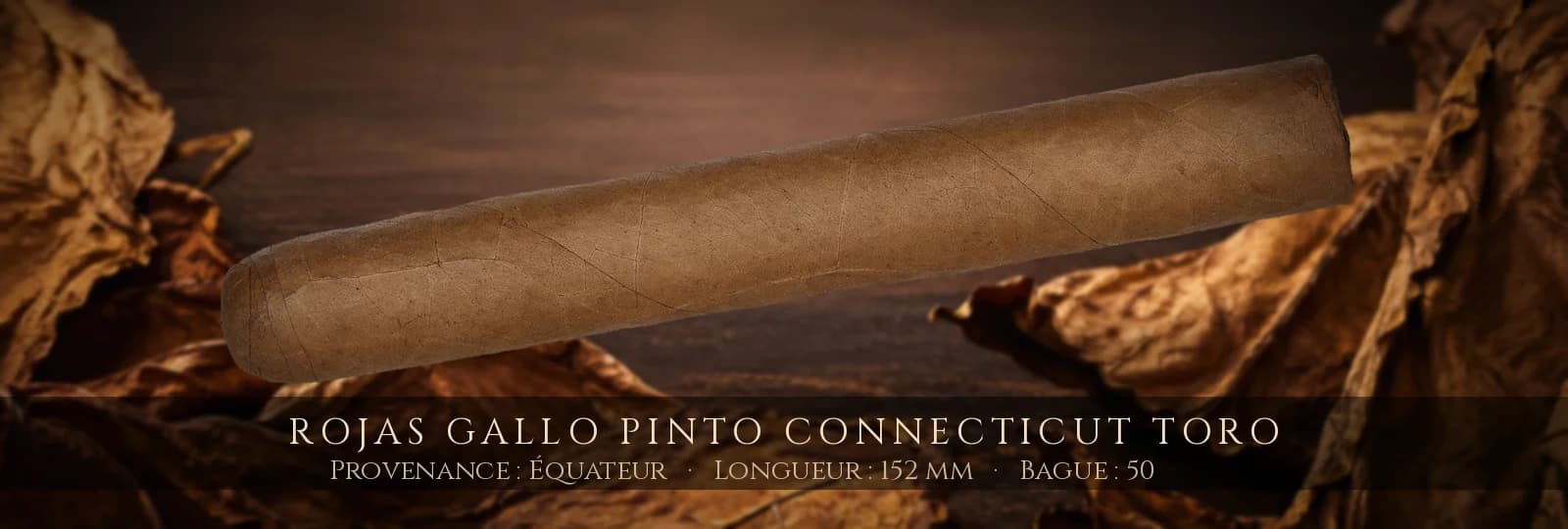 Rojas Gallo Pinto Connecticut Toro — Rojas — Équateur
