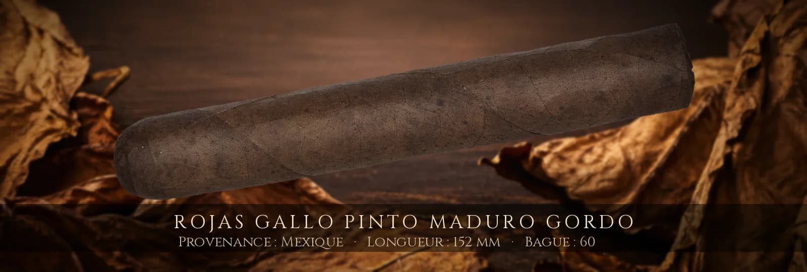 Rojas Gallo Pinto Maduro Gordo — Rojas — Mexique