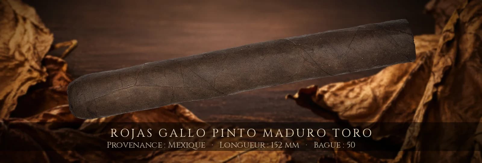 Rojas Gallo Pinto Maduro Toro — Rojas — Mexique
