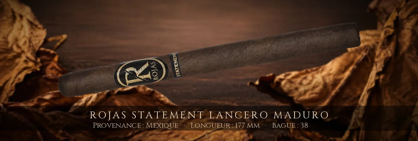 Rojas Statement Lancero Maduro — Rojas — Mexique