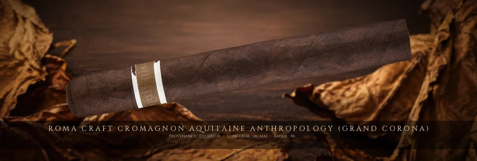 RoMa Craft CroMagnon Aquitaine Anthropology (Grand Corona) — RoMa Craft — Équateur