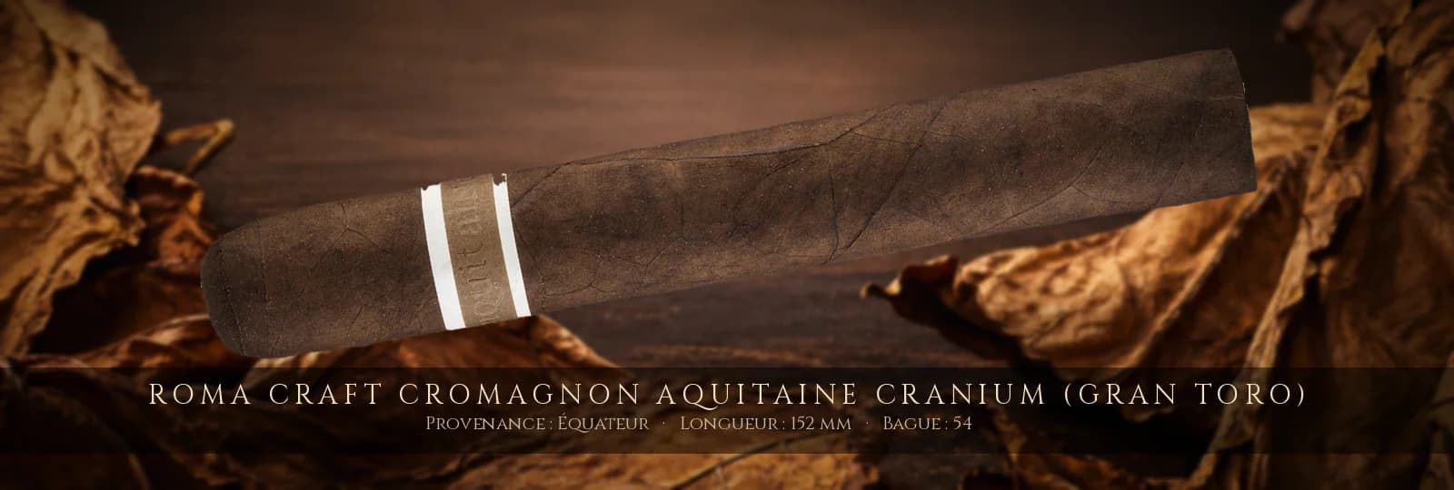 RoMa Craft CroMagnon Aquitaine Cranium (Gran Toro) — RoMa Craft — Équateur