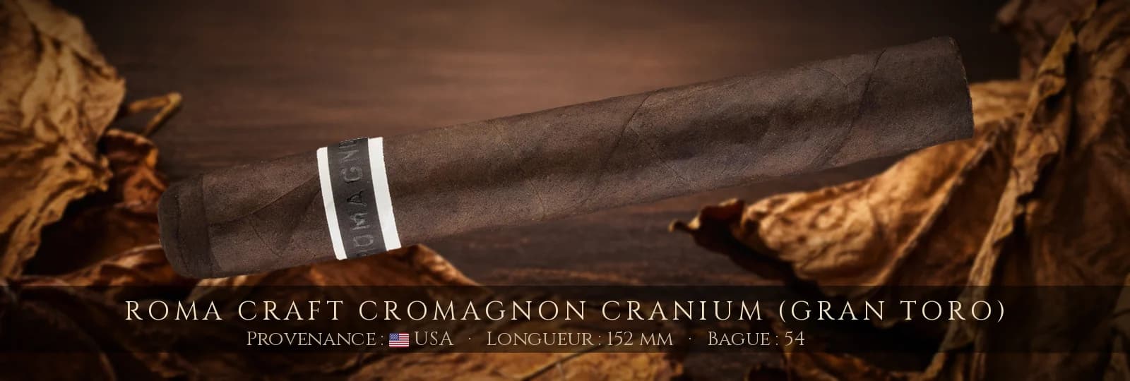 RoMa Craft CroMagnon Cranium (Gran Toro) — RoMa Craft — USA
