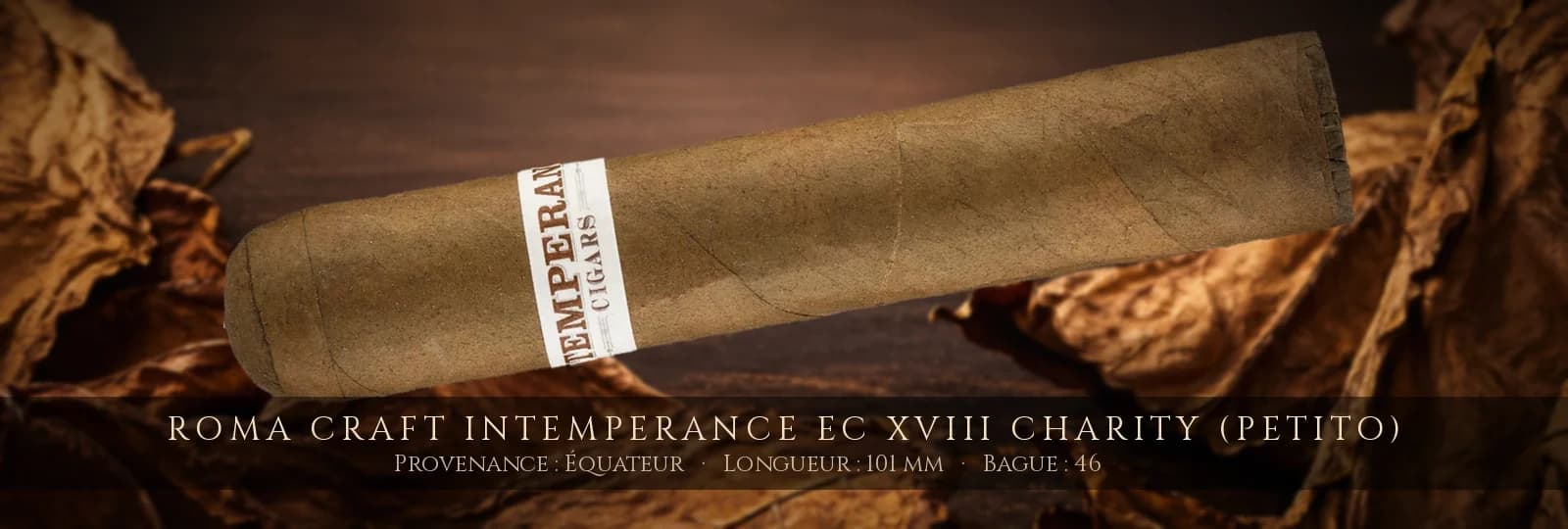 RoMa Craft Intemperance EC XVIII Charity (Petito) — RoMa Craft — Équateur