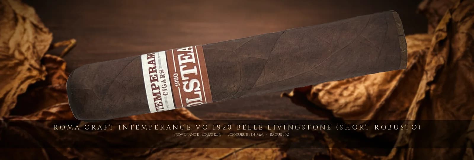 RoMa Craft Intemperance VO 1920 Belle Livingstone (Short Robusto) — RoMa Craft — Équateur