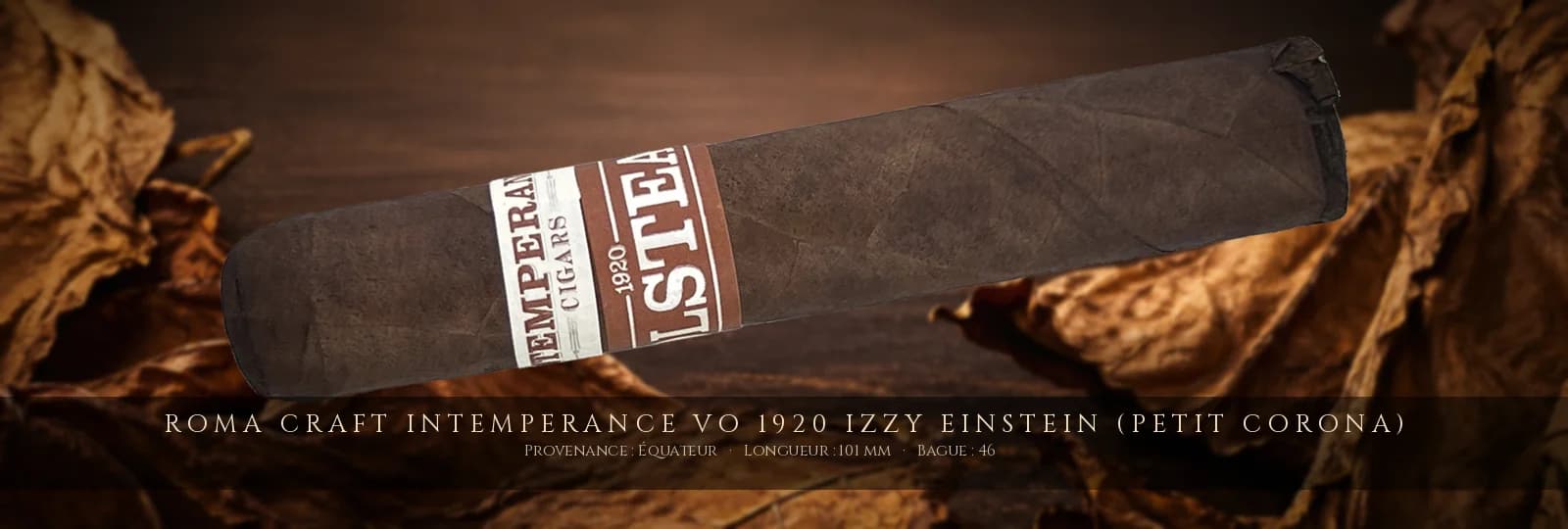 RoMa Craft Intemperance VO 1920 Izzy Einstein (Petit Corona) — RoMa Craft — Équateur