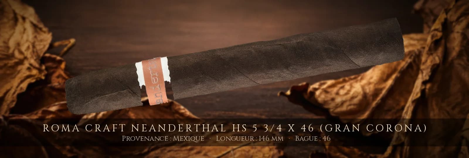 RoMa Craft Neanderthal HS 5 3/4 x 46 (Gran Corona) — RoMa Craft — Mexique