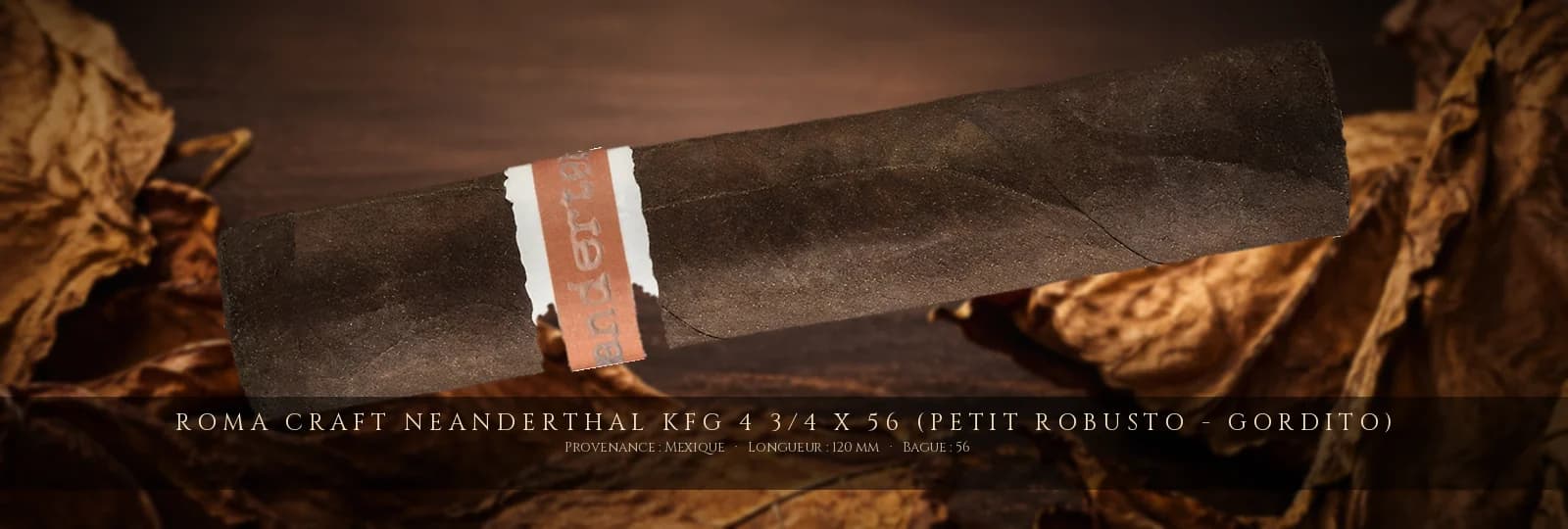 RoMa Craft Neanderthal KFG 4 3/4 x 56 (Petit Robusto - Gordito) — RoMa Craft — Mexique