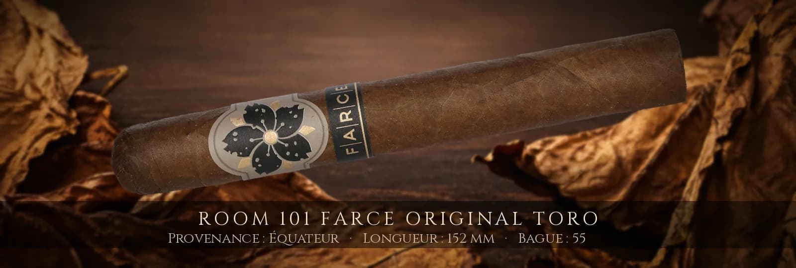 Room 101 Farce Original Toro — Room 101 — Équateur