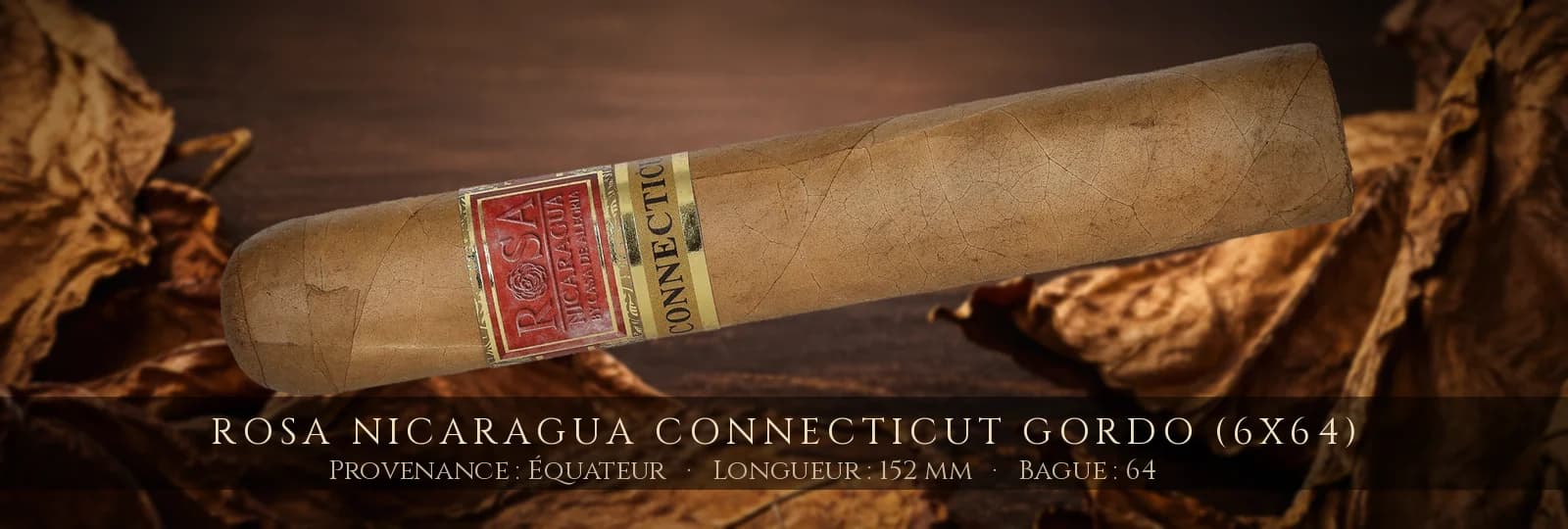 Rosa Nicaragua Connecticut Gordo (6x64) — Rosa Nicaragua — Équateur