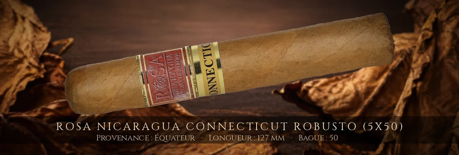 Rosa Nicaragua Connecticut Robusto (5x50) — Rosa Nicaragua — Équateur