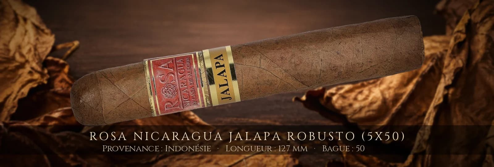 Rosa Nicaragua Jalapa Robusto (5x50) — Rosa Nicaragua — Indonésie