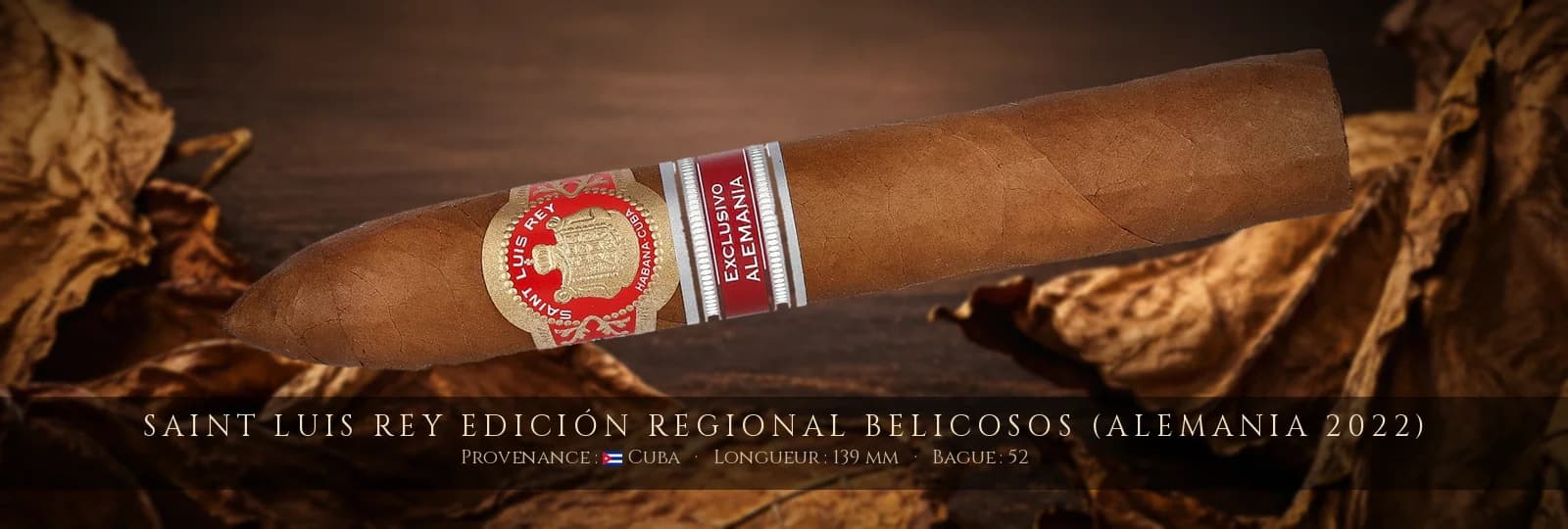 Saint Luis Rey Edición Regional Belicosos (Alemania 2022) — Saint Luis Rey — Cuba
