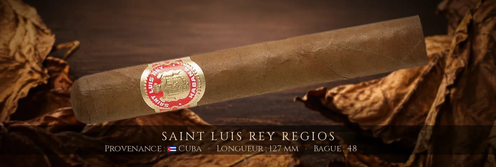Saint Luis Rey Regios — Saint Luis Rey — Cuba