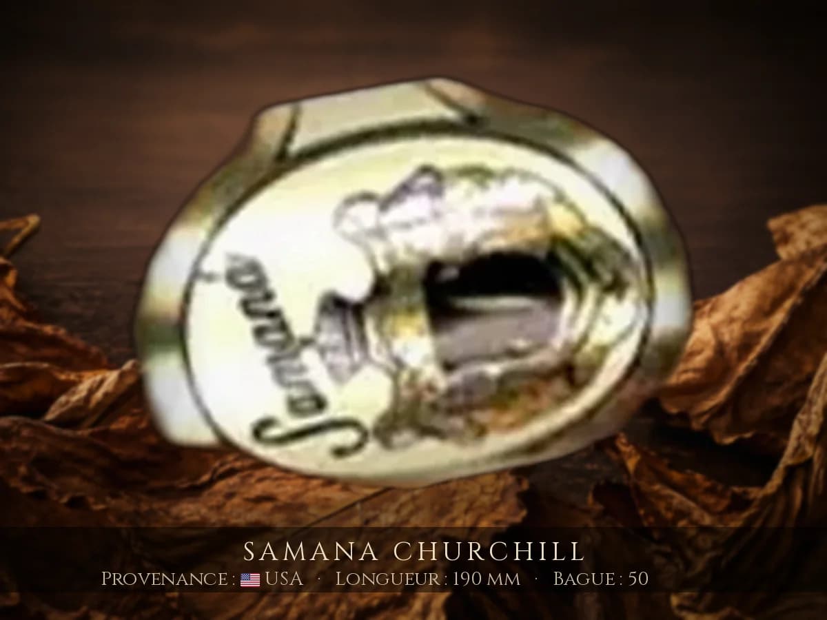 Samana Churchill — Samana — USA