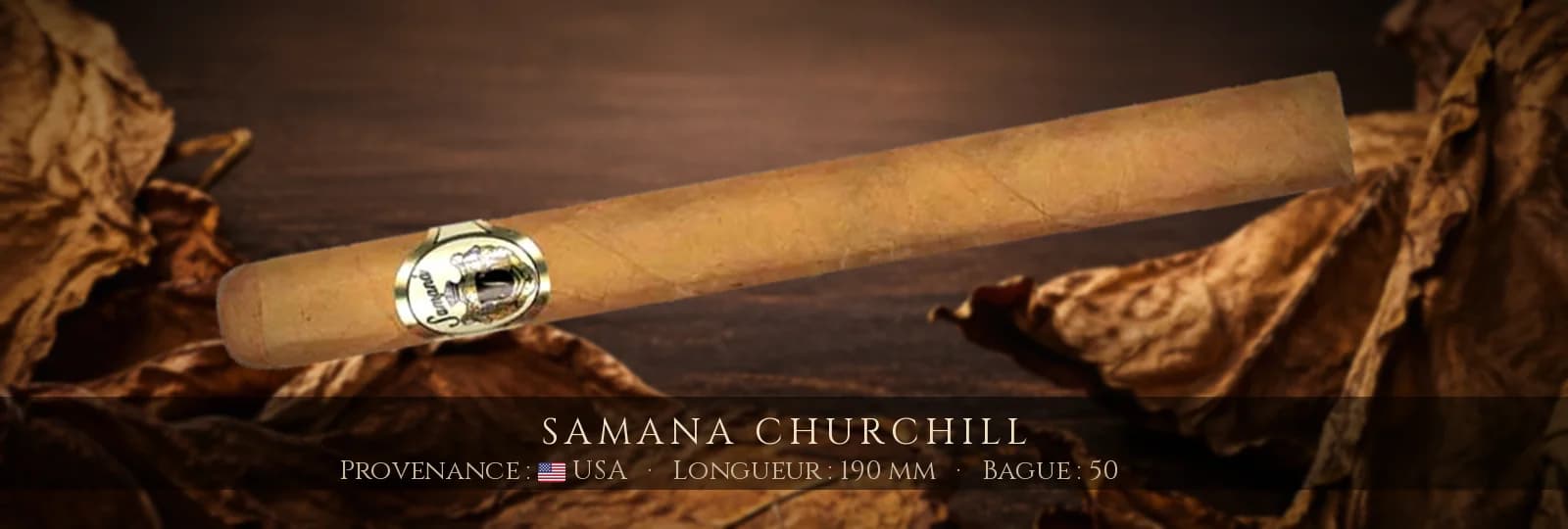 Samana Churchill — Samana — USA