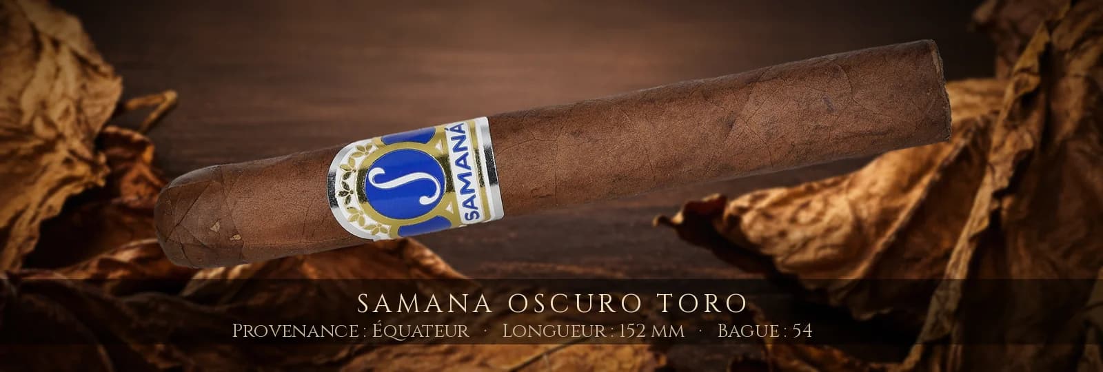 Samana Oscuro Toro — Samana — Équateur