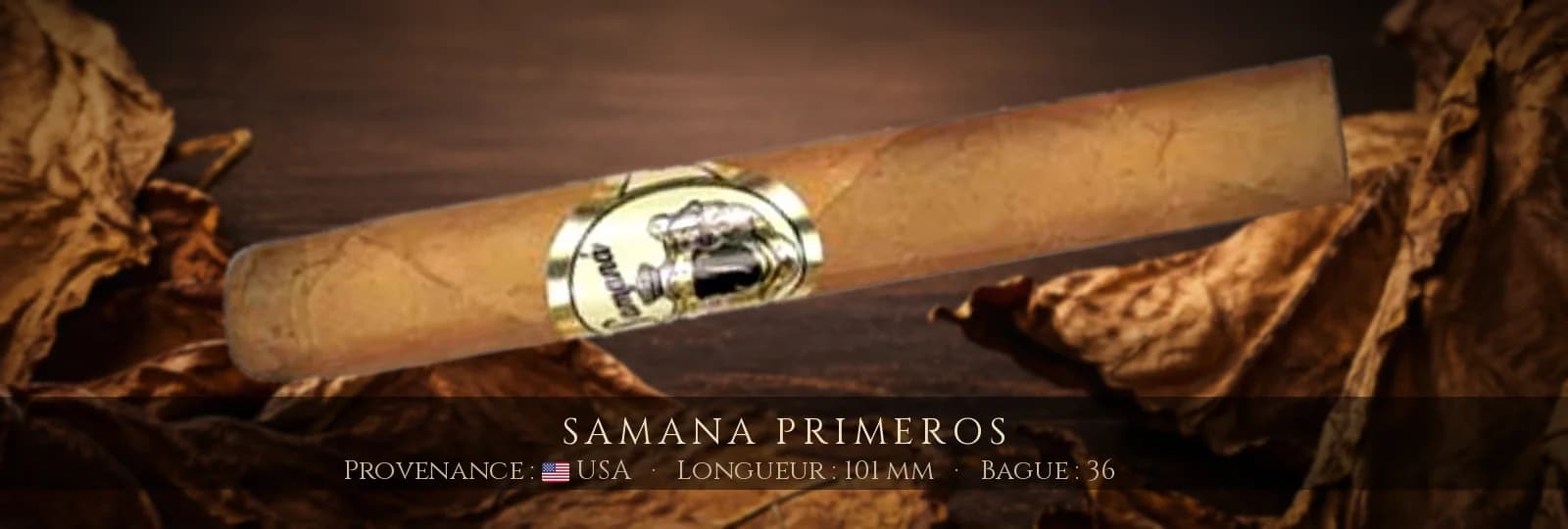 Samana Primeros — Samana — USA