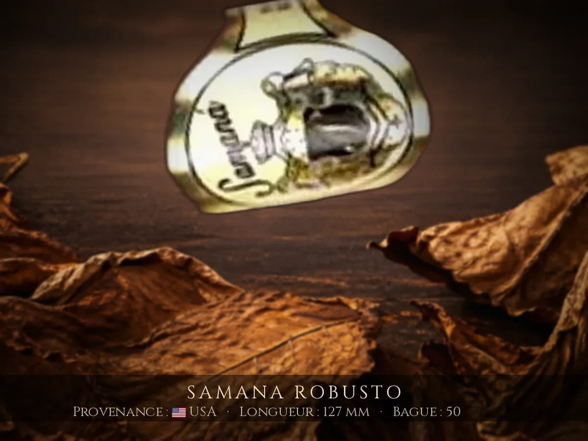 Samana Robusto — Samana — USA
