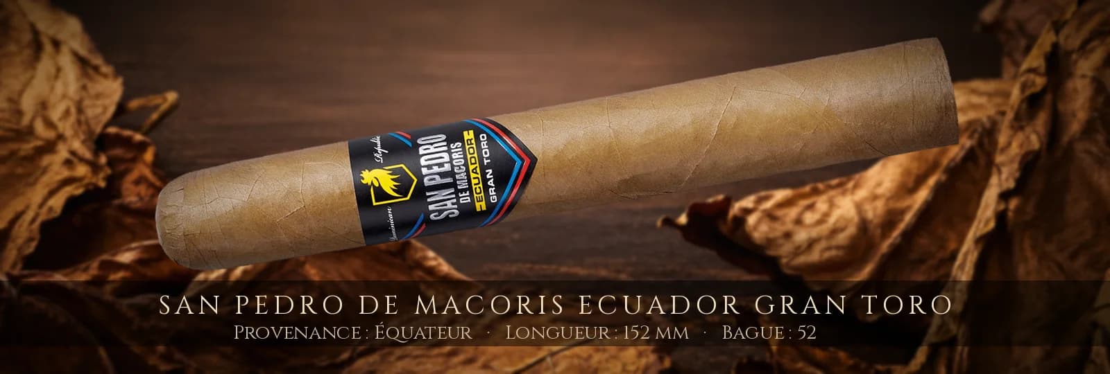 San Pedro de Macoris Ecuador Gran Toro — San Pedro de Macoris — Équateur