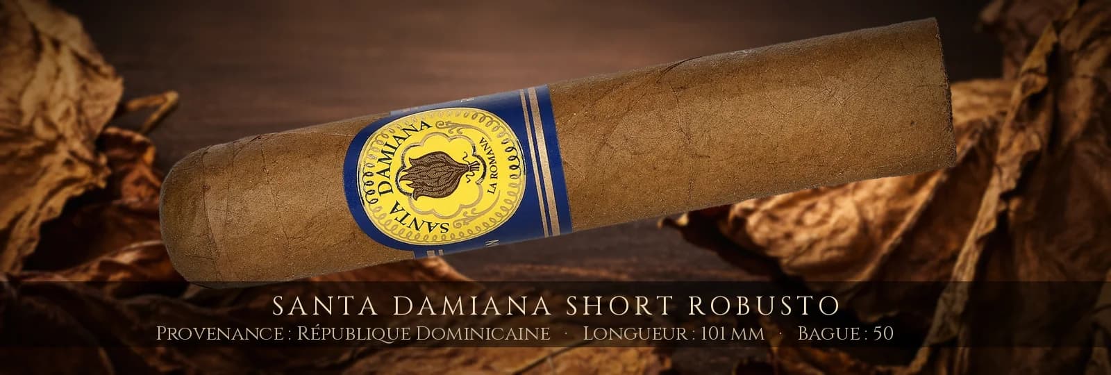 Santa Damiana Short Robusto — Santa Damiana — République Dominicaine