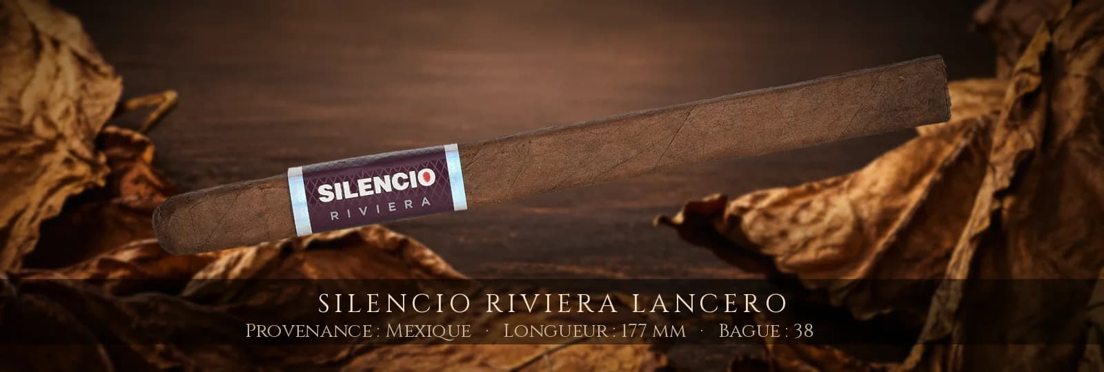 Silencio Riviera Lancero — Silencio — Mexique