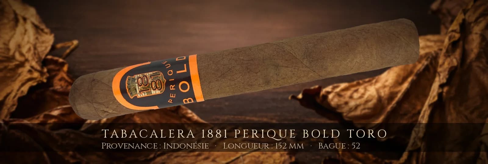 Tabacalera 1881 Perique Bold Toro — Tabacalera — Indonésie