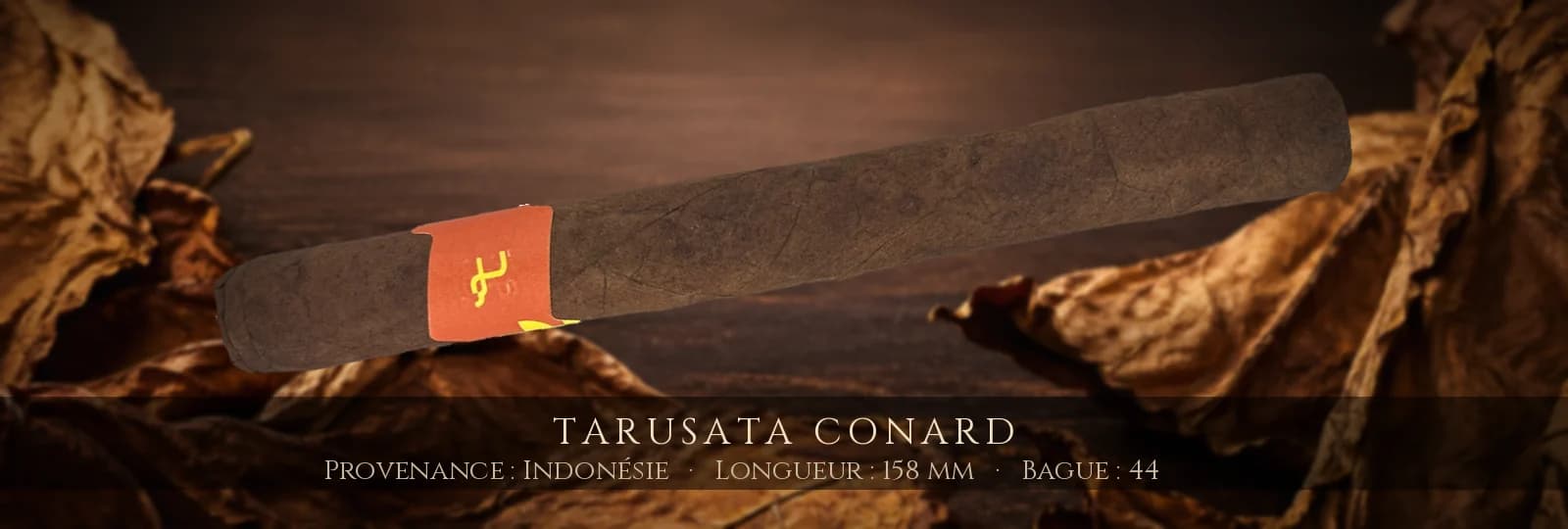 Tarusata Conard — Tarusata — Indonésie