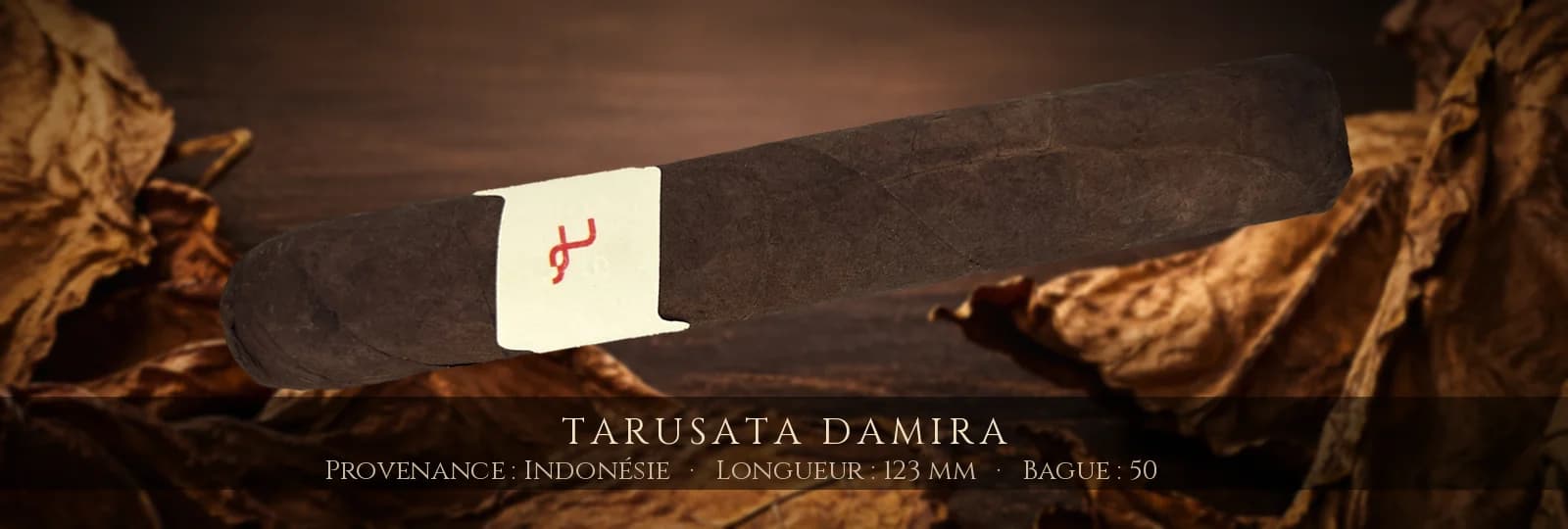 Tarusata Damira — Tarusata — Indonésie