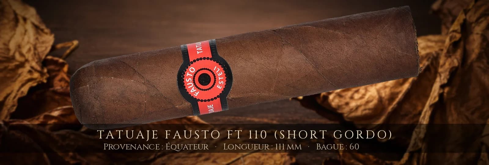 Tatuaje Fausto FT 110 (Short Gordo) — Tatuaje — Équateur