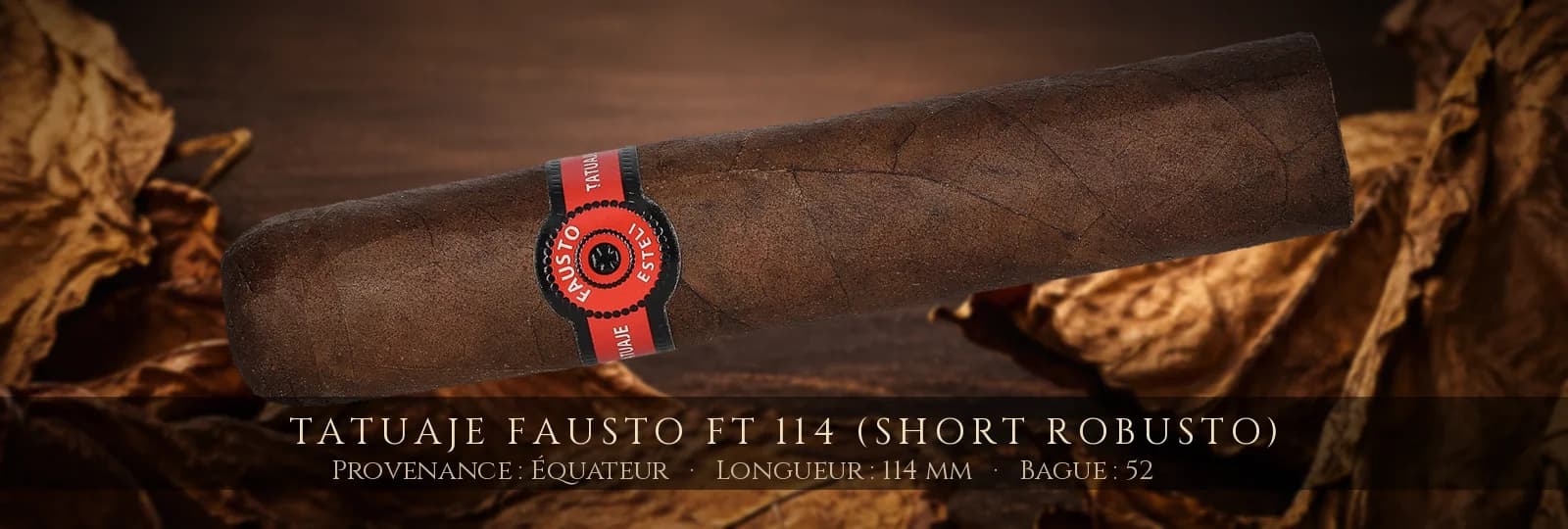Tatuaje Fausto FT 114 (Short Robusto) — Tatuaje — Équateur