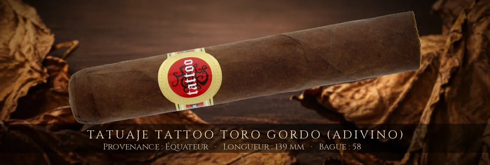 Tatuaje Tattoo Toro Gordo (Adivino) — Tatuaje — Équateur