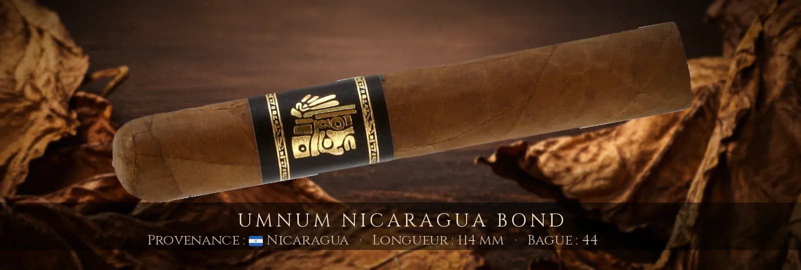 Umnum Nicaragua Bond — Umnum — Nicaragua