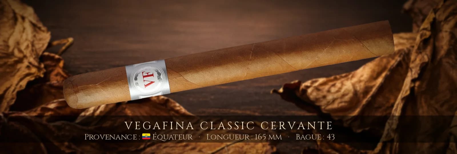 VegaFina Classic Cervante — VegaFina — Équateur