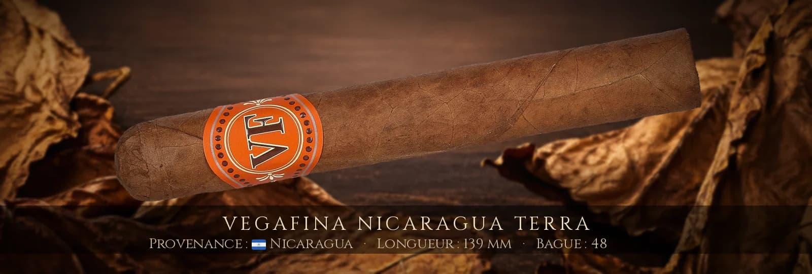 VegaFina Nicaragua Terra — VegaFina — Nicaragua