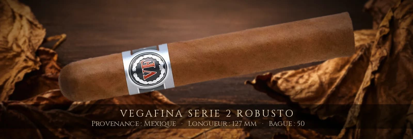 VegaFina Serie 2 Robusto — VegaFina — Mexique