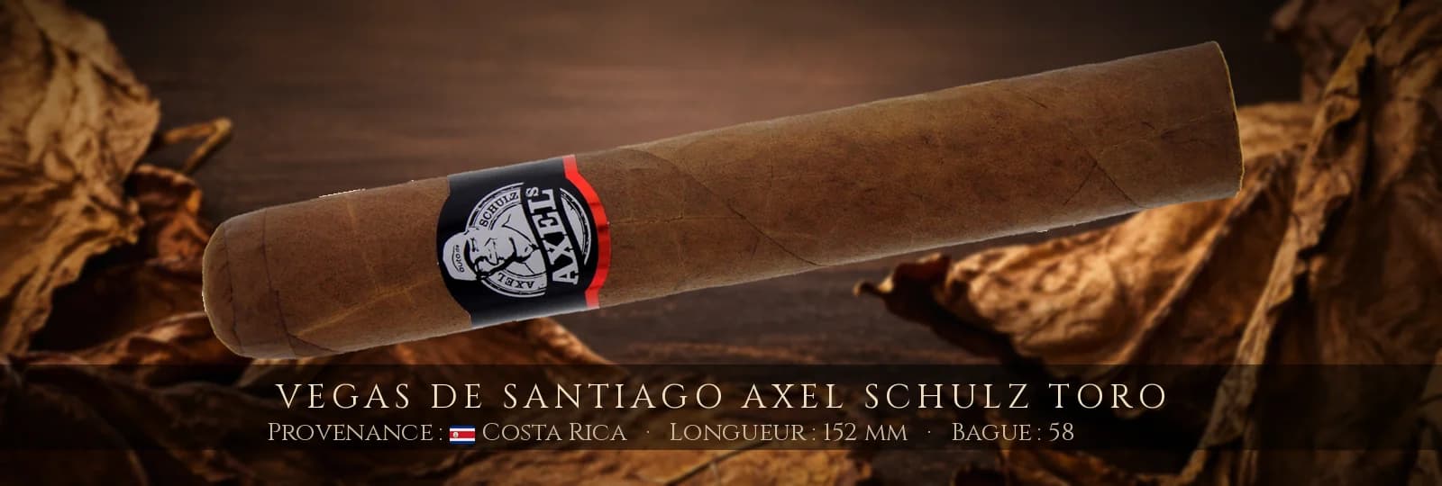 Vegas de Santiago Axel Schulz Toro — Vegas de Santiago — Costa Rica