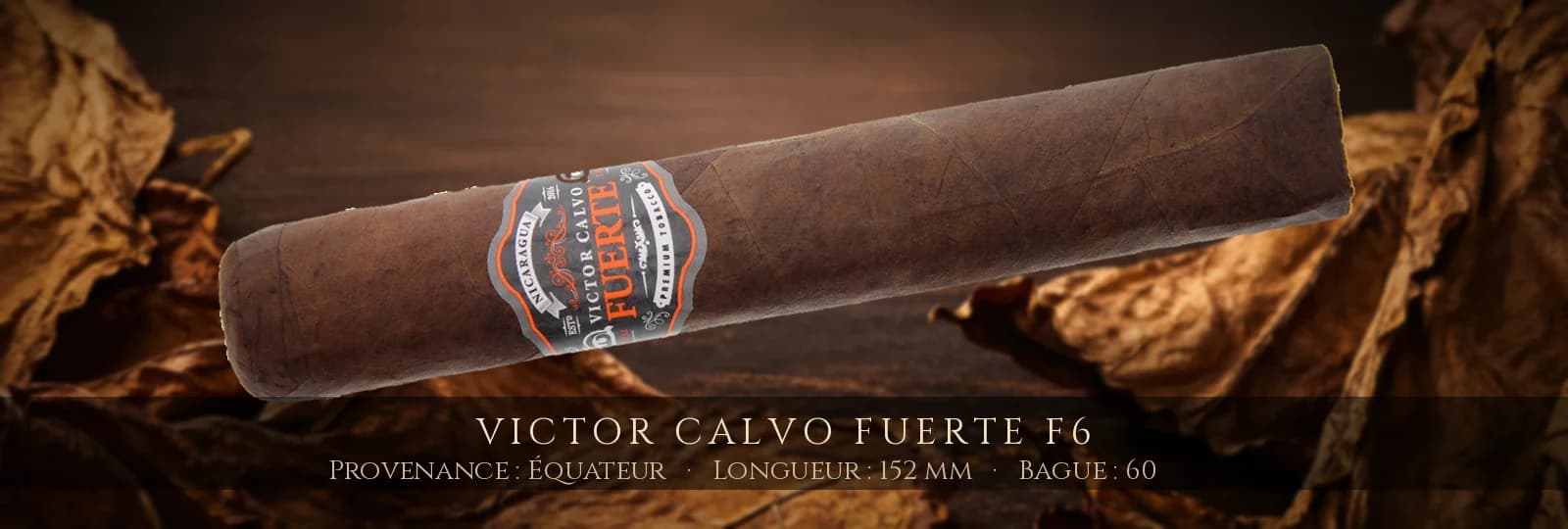 Victor Calvo Fuerte F6 — Victor Calvo — Équateur