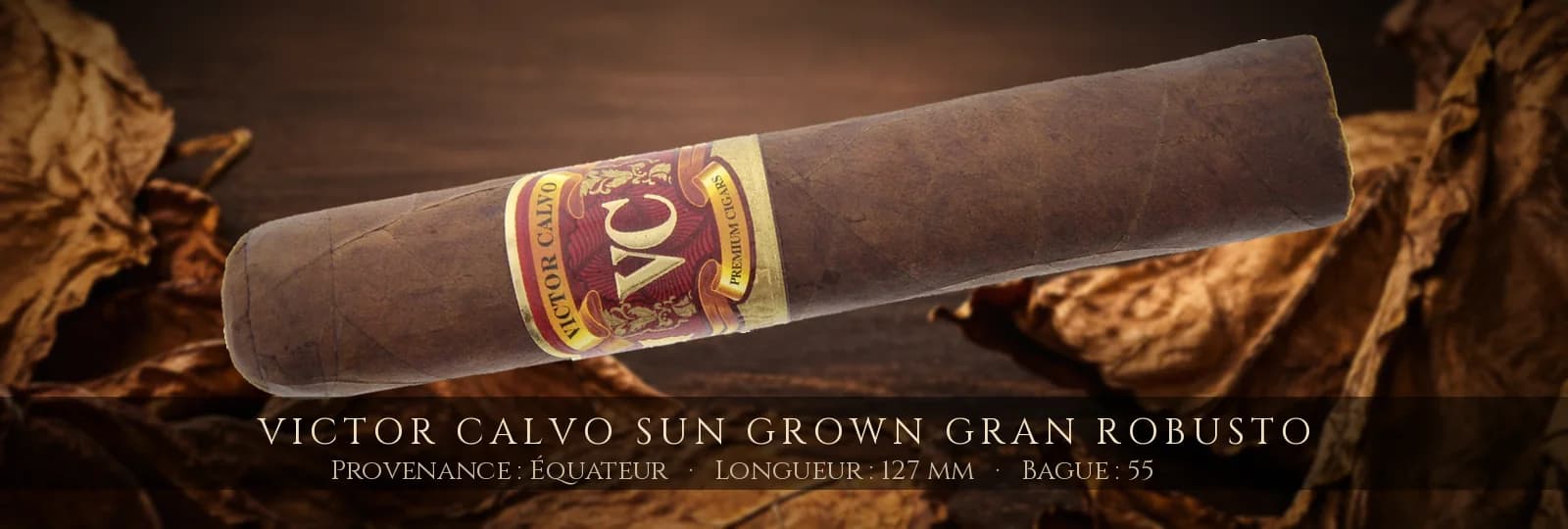 Victor Calvo Sun Grown Gran Robusto — Victor Calvo — Équateur