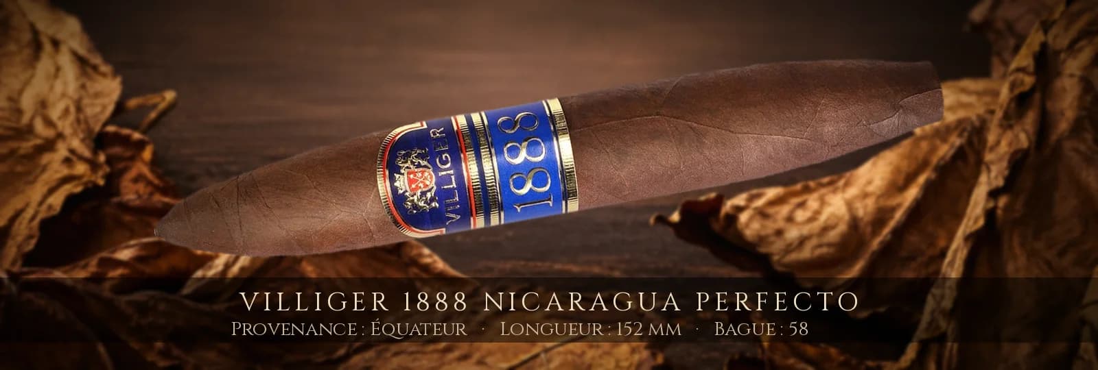 Villiger 1888 Nicaragua Perfecto — Villiger — Équateur