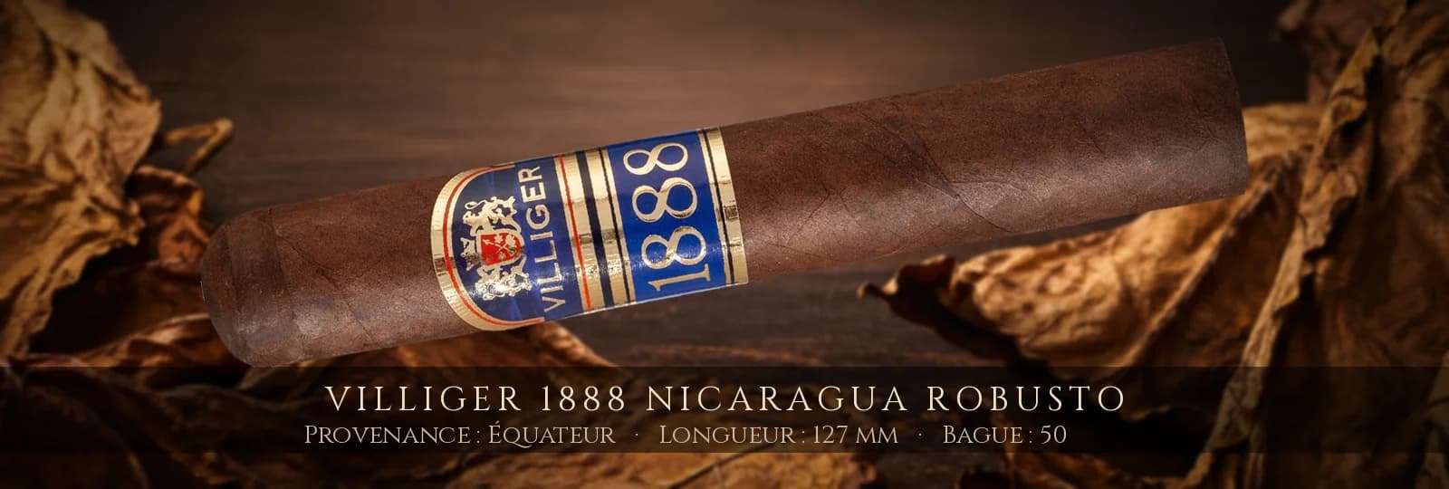 Villiger 1888 Nicaragua Robusto — Villiger — Équateur