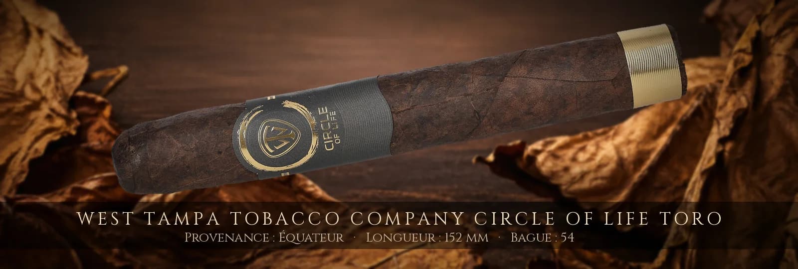 West Tampa Tobacco Company Circle of Life Toro — West Tampa Tobacco Company — Équateur