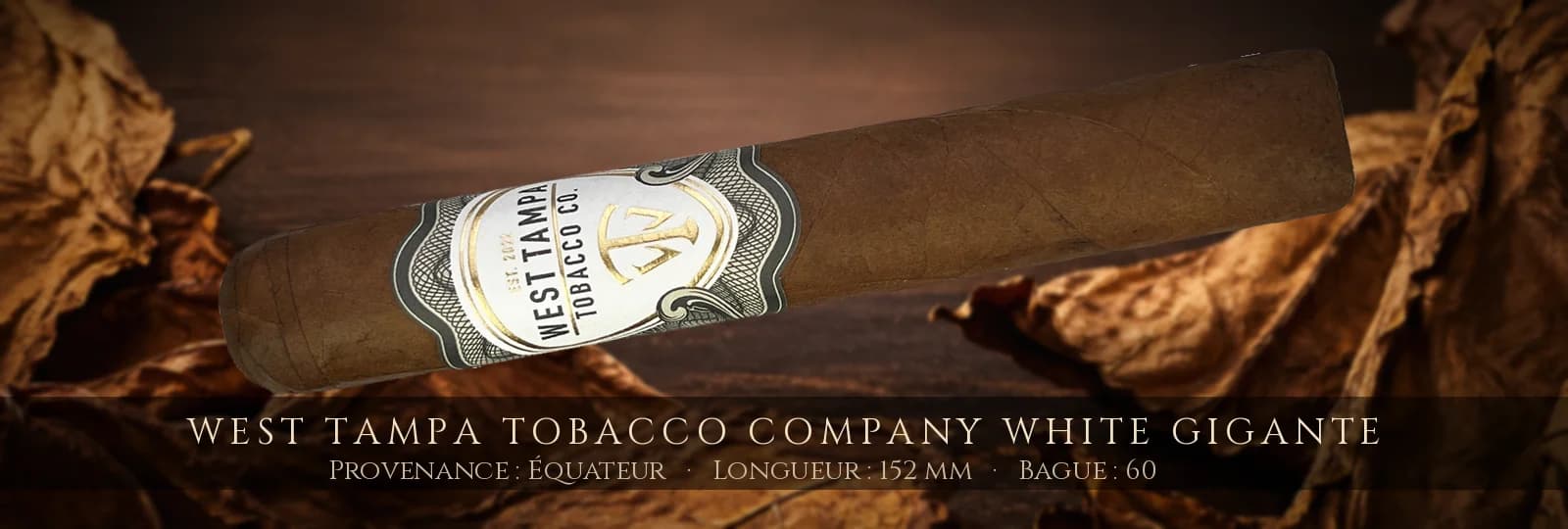 West Tampa Tobacco Company White Gigante — West Tampa Tobacco Company — Équateur