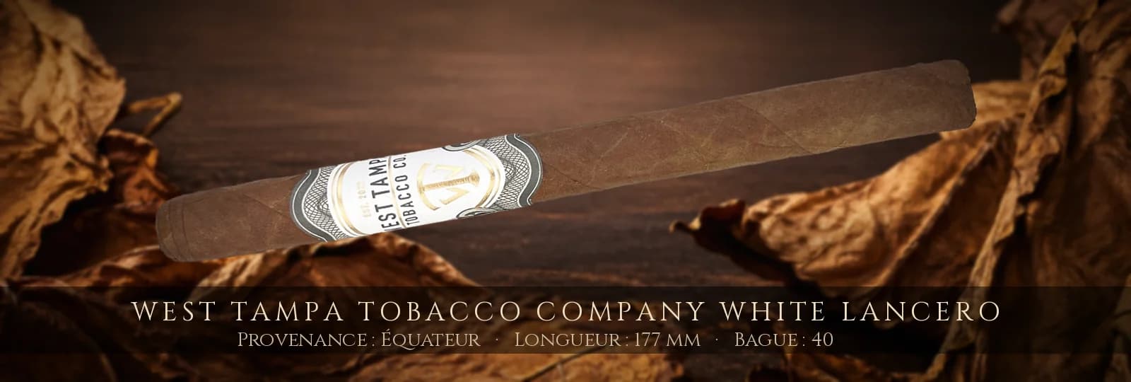 West Tampa Tobacco Company White Lancero — West Tampa Tobacco Company — Équateur