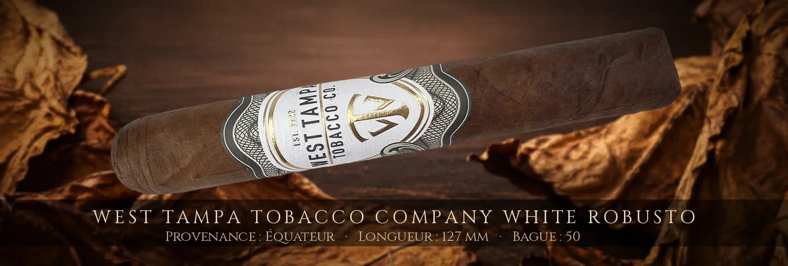 West Tampa Tobacco Company White Robusto — West Tampa Tobacco Company — Équateur