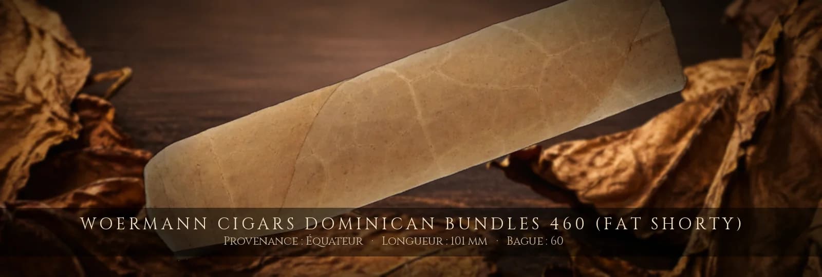 Woermann Cigars Dominican Bundles 460 (Fat Shorty) — Woermann Cigars — Équateur