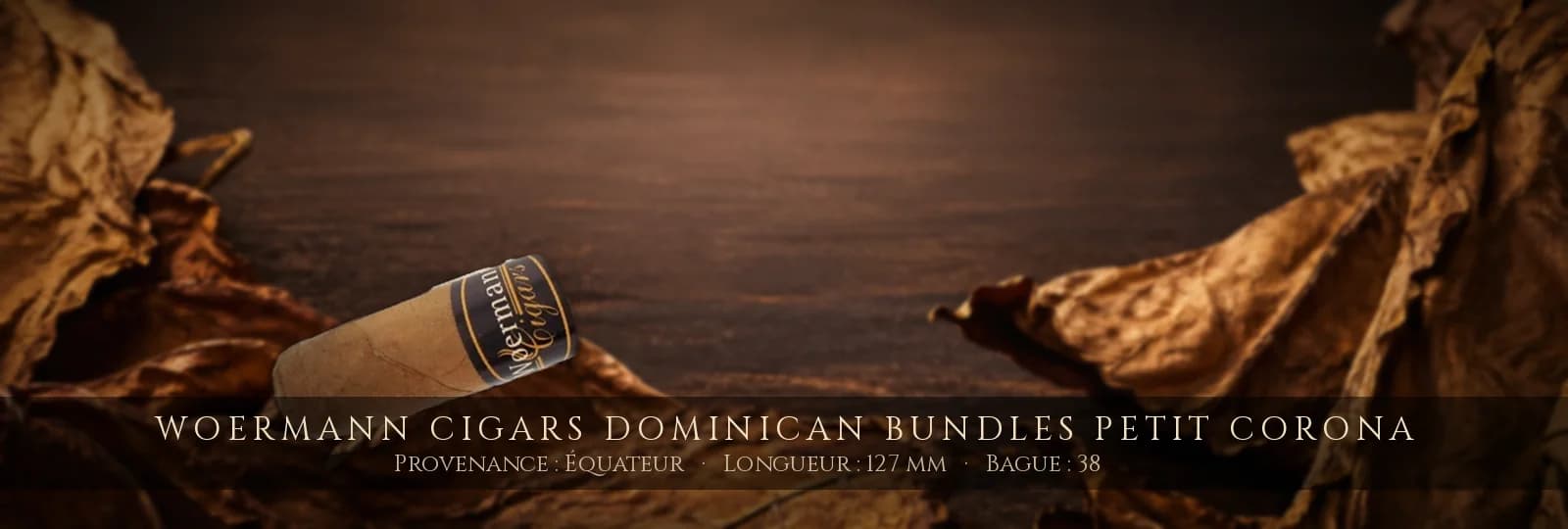 Woermann Cigars Dominican Bundles Petit Corona — Woermann Cigars — Équateur